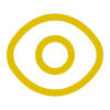 Vision
